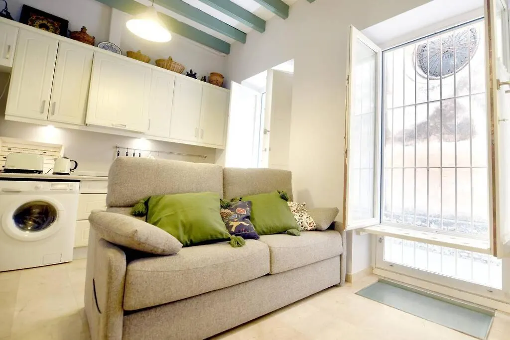 Loft Virgen De La Alegria
